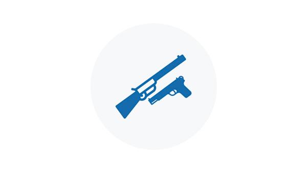 Blue Icon of Firearm Types